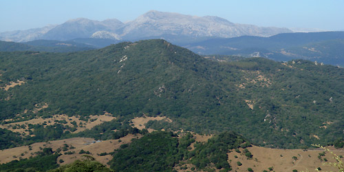 Vista de Sierra de Grazalema desde el Parque Natural Los Alcornocales