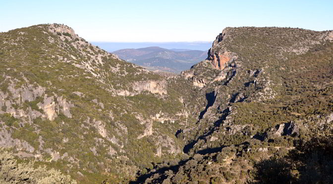 The garganta verde in the Sierra de Grazalema