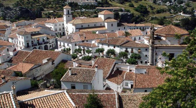 Are there guided coach trips to Grazalema and the white villages?