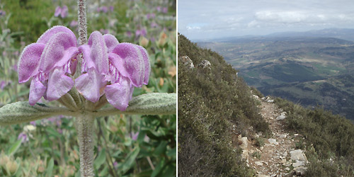 The coros peak in the Sierra de Grazalema