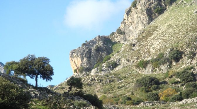 How to get a permission for restricted footpaths in the Sierra de Grazalema