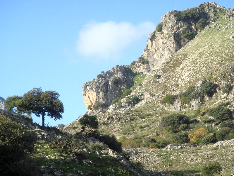 How to get a permission for restricted footpaths in the Sierra de Grazalema