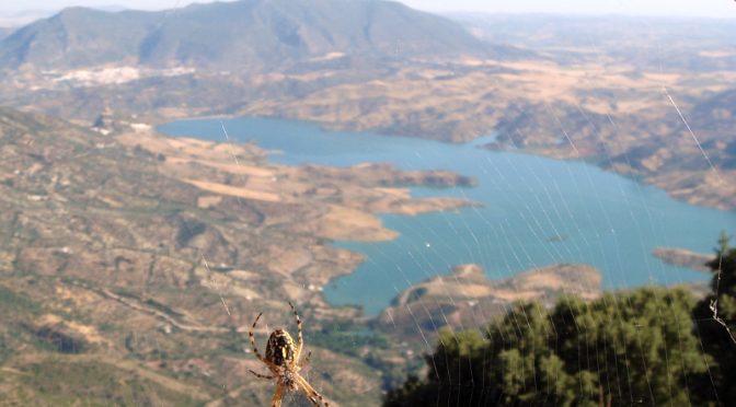 A high walk in the mountains of the Sierra de Grazalema – Coros Peak