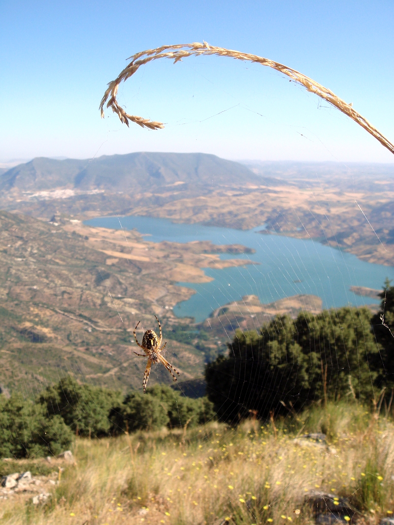 Sierra de Grazalema
