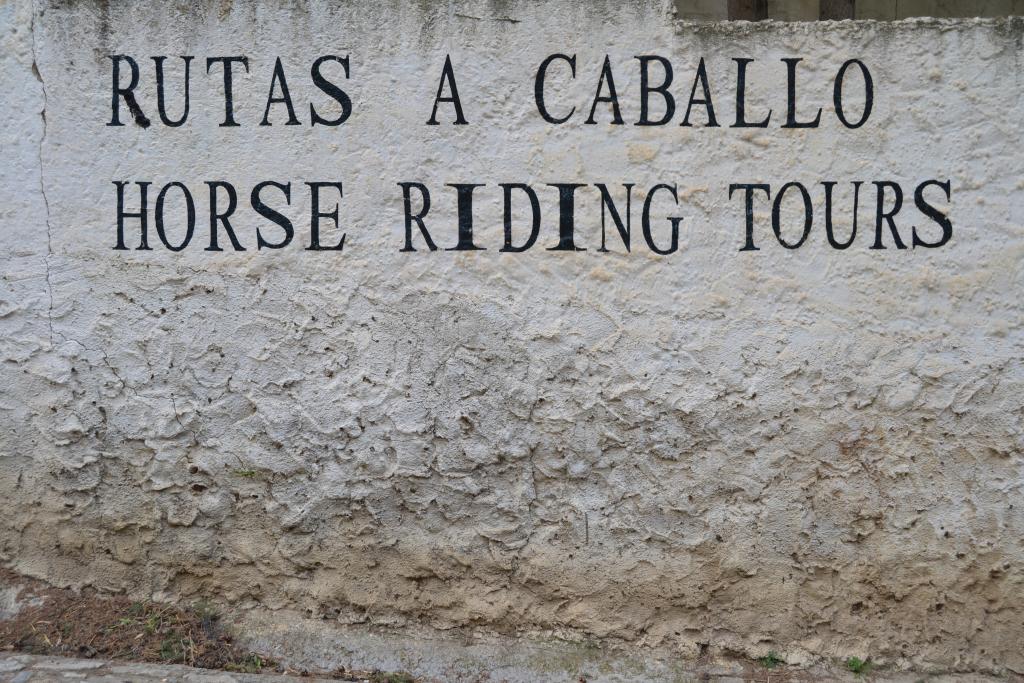 Horseriding in Ronda Spain