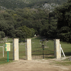 Llanos del campo in the Sierra de Grazalema