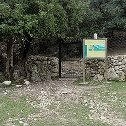 Second gate- Llanos del campo in the Sierra de Grazalema