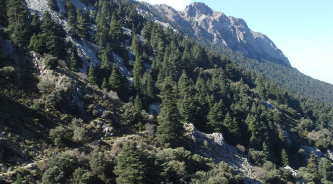 Walking in the Spanish countryside. Safety and advice.