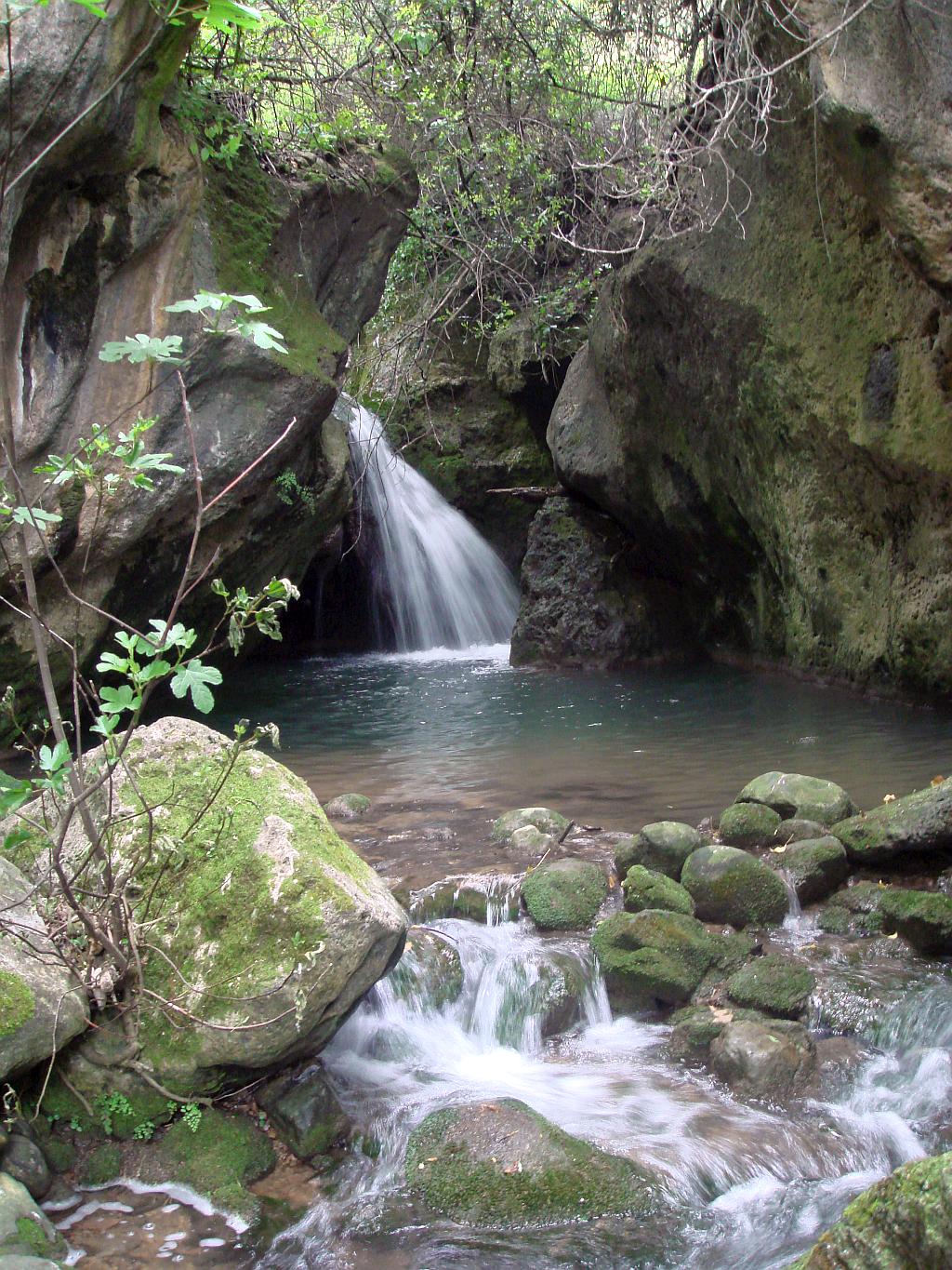 Water in the Grazalema Natural Park