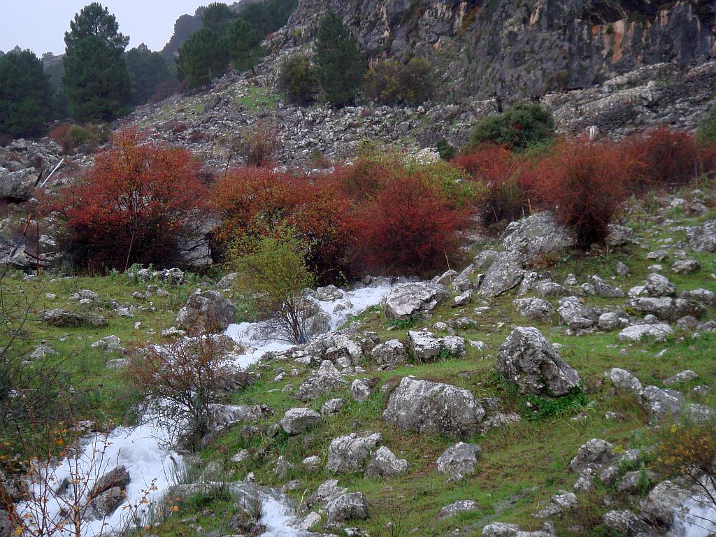September in the Sierra de Grazalema