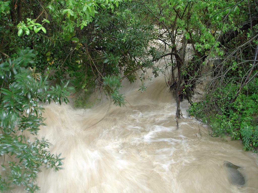 River in Grazalema