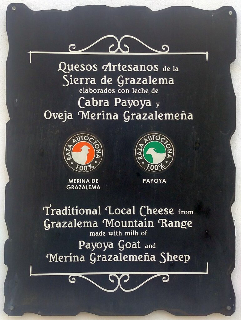 Payoyo cheese in Grazalema