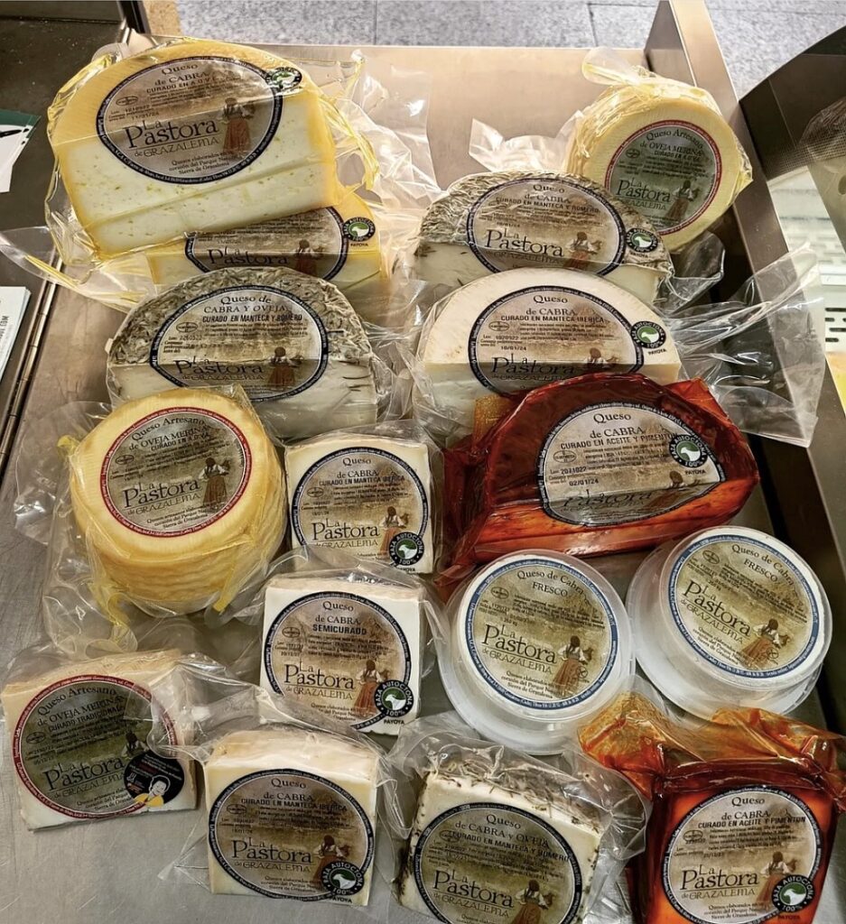 Payoyo cheeses made in Grazalema