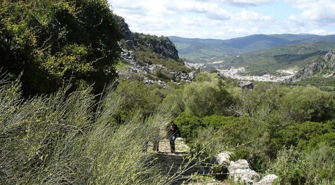View of Ubrique and the surrounding mountains in the Sierra de Grazalema