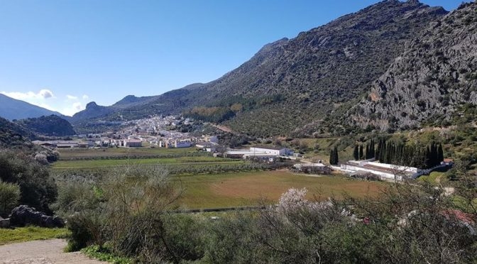  Benaoján near Ronda